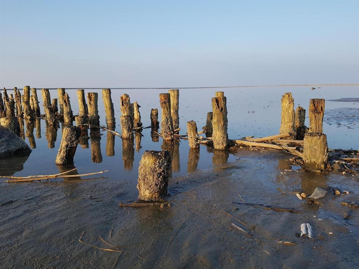 Appartement Sandroeschen Sankt Peter-Ording Εξωτερικό φωτογραφία